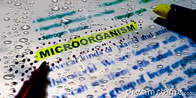 microorganism biological terminology displayed with natural water drops abstract book page abstract background Stock Photo