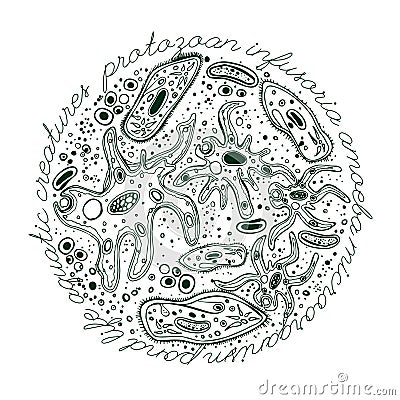 Microorganism Hand drawn Image Vector Illustration