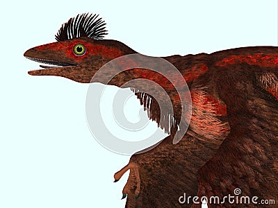 Microraptor Dinosaur Head Stock Photo