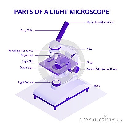 Microscope isometric illustration with light microscope parts infographic elements isolated on white background. Vector Illustration