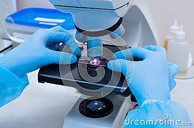 Microscope. Microbiological laboratory. Mold and fungal cultures. Bacterial research. Microbiology Stock Photo