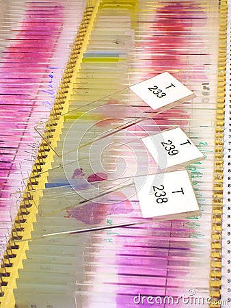 Microscope slides Stock Photo