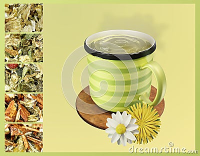 Microscope Snapshots: Herbal tea Stock Photo