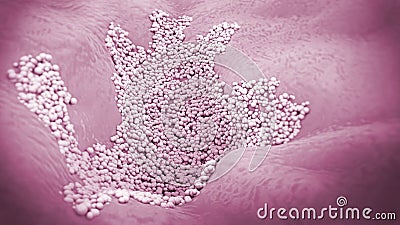 Microscopic close-up of a fungal infection of the upper skin layer, called skin mycosis Cartoon Illustration