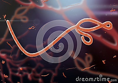 A microscopic view of the Ebola virus Stock Photo