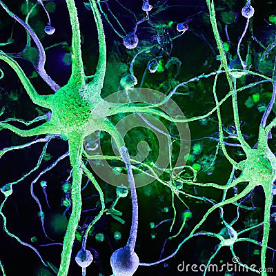 Microscopic view of neurons. Brain connections. Synapses. Communication and cerebral stimulus Stock Photo