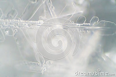 The Microscopic World. Stock Photo