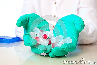 Microtubes with biological samples in the hand. Stock Photo