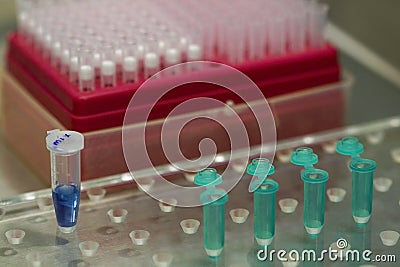 Microtubes and box of tips in a research lab Stock Photo