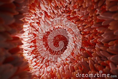 Microvilli on surface of digestive system. Stock Photo