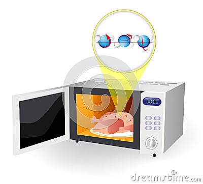 Microwave oven and water molecules Vector Illustration