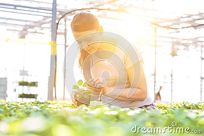 Mid adult female botanist examining herb seedlings in plant nursery Stock Photo