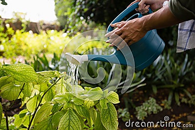 Mid-section of couple watering plants with watering can in garden Stock Photo