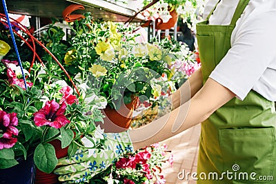 Mid-section woman selling flowers and plants on a market Stock Photo