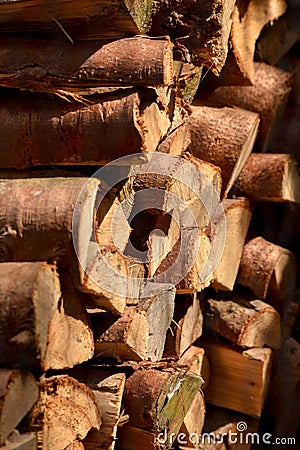 Mid-sized Log Woodpile Stock Photo