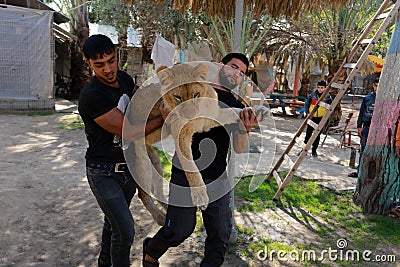 The zoo in Rafah gives visitors a chance to play with animals in the Gaza Strip Editorial Stock Photo