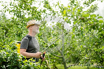 Middle age gardener with a mist fogger sprayer sprays fungicide and pesticide on bushes and trees. Protection of cultivated plants Stock Photo