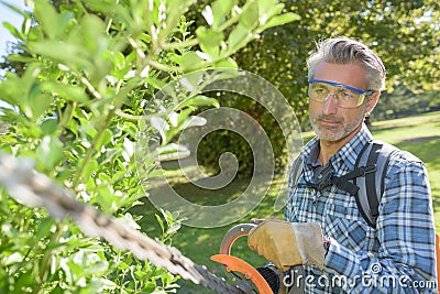 Middle age man cutting hedge Stock Photo