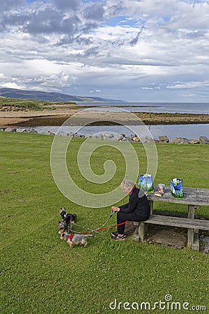 A Middle aged women sitting at a wooden Picnic table with three Yorkshire Terriers at a Picnic Area. Editorial Stock Photo