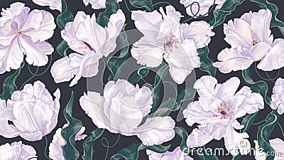 Large floral background with spring white tulips, in wallpaper Vector Illustration