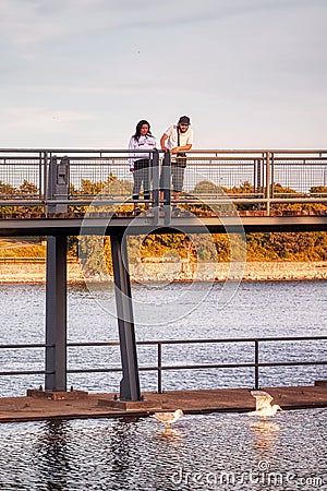Middle eastern couple on the bridge watching the seagulls over the saint lawrence river Editorial Stock Photo