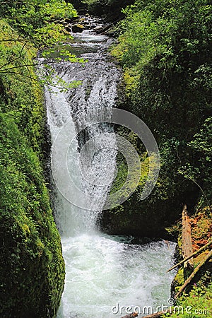 Middle Oneonta Falls, Columbia River Gorge near Portland, Oregon, Pacific Northwest, USA Stock Photo