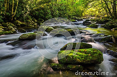 Middle Prong, Great Smoky Mountains Stock Photo