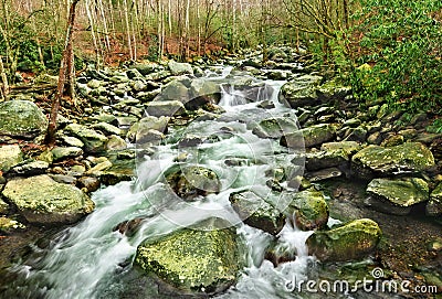 Middle Prong Little Pigeon River Stock Photo