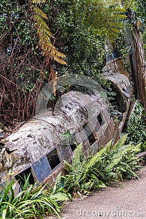 Middle and tail section of airplane wreck in jungle, Kuranda Australia. Editorial Stock Photo