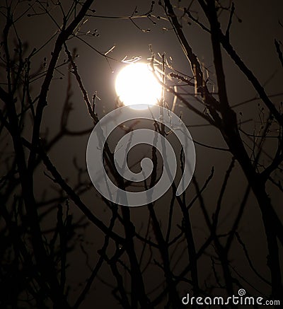 Midnight Moon Stock Photo