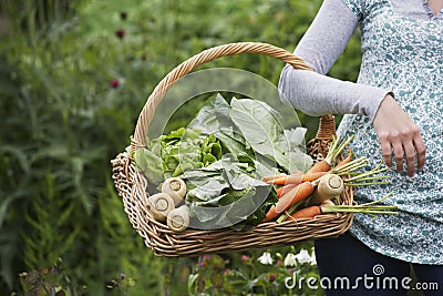 Midsection Of Cropped Woman With Vegetable Basket Stock Photo