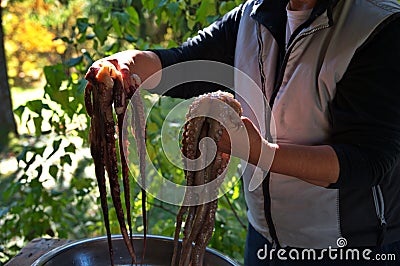 Woman preparing octopus to cook Stock Photo