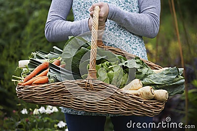 Midsection Of Woman With Vegetable Basket Stock Photo