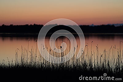 Midsummer nights dream Stock Photo