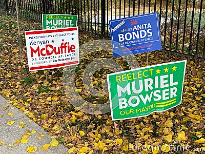 Midterm Election Campaign Posters and Leaves Editorial Stock Photo