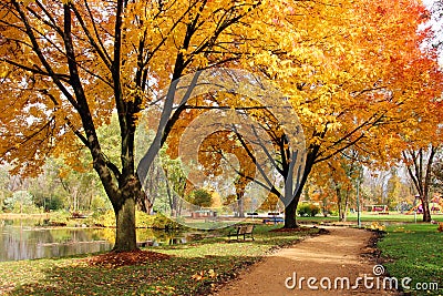 Midwest nature background with park view Stock Photo