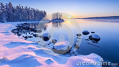 Midwinter, island off the coast of a lake, trees and rocks. Cold sunrise on the lake island. Stock Photo