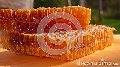 Miei favi pieni di miele sdraiati su una tavola di legno Miei favi pieni di miele sdraiati su una tavola di legno