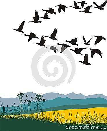 Migrating geese in the spring Vector Illustration