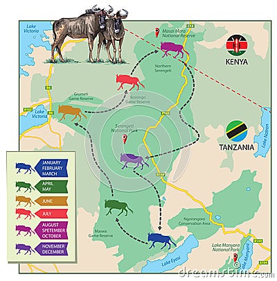 Migration map - wildebeest Vector Illustration