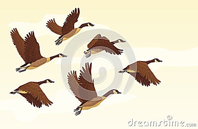 Migratory geese background Vector Illustration