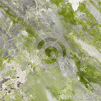 Mildewed concrete wall with green stains Stock Photo