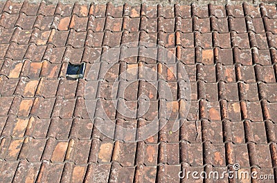 Mildewed terracotta roof tile Stock Photo