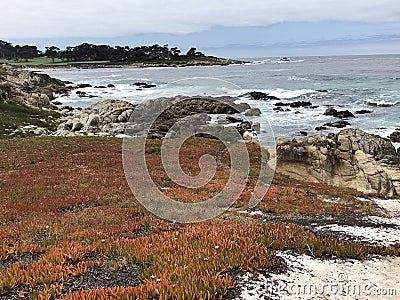 17 Mile Drive Monterey Coast Stock Photo