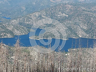 Full lake, dead trees Stock Photo