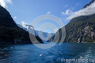 Milford Sound on a ferry on a beautiful blue sky day, Fiordland, South Island,New Zealand Stock Photo