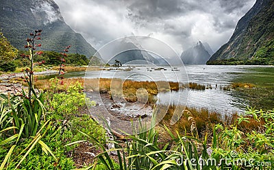 Milford Sound Fjordland, New Zealand Stock Photo