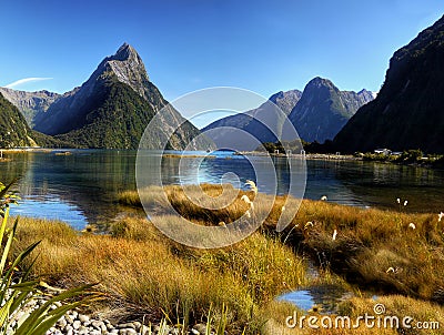 Milford Sound, New Zealand Stock Photo