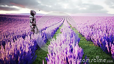 Militaire robot, cyborg met kanon op lavendelgebied concept de toekomst Realistische 4K animatie vector illustratie Militaire robot, cyborg met kanon op lavendelgebied concept de toekomst Realistische 4K animatie vector illustratie