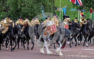 Military drum horse and other cavalry taking part in the Trooping the Colour military parade, London UK Editorial Stock Photo